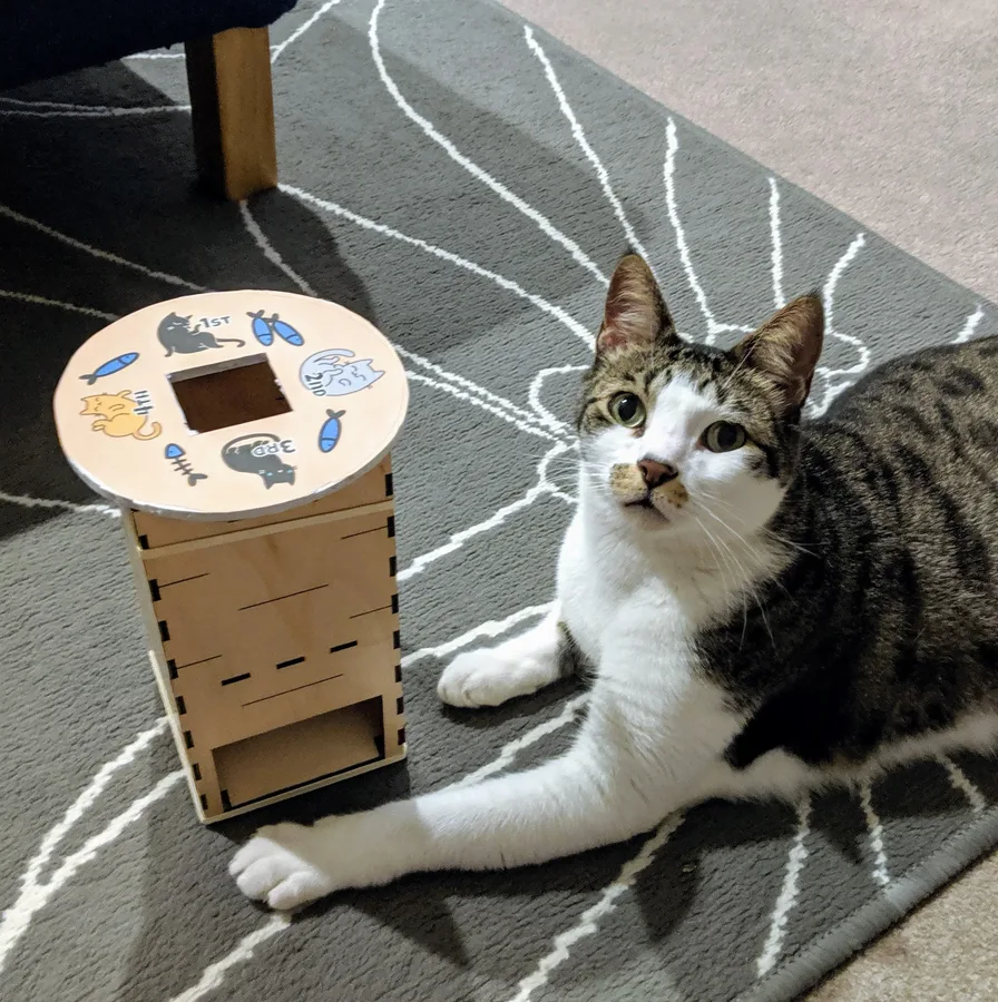 Tabby Tower