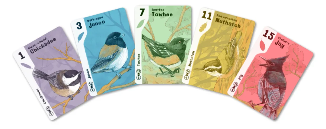 Bird cards
